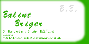 balint briger business card